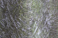 Wrangbrook fibreglass roof work